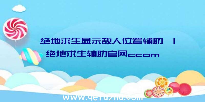 「绝地求生显示敌人位置辅助」|绝地求生辅助官网ccom